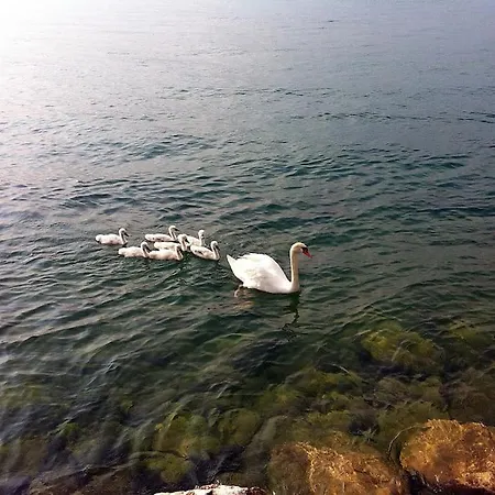 Relax On Of Garda Raffa